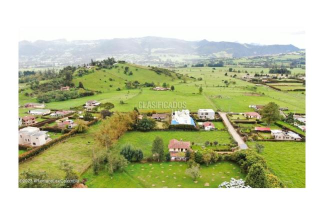 Lotes, Venta, La Calera - $290.000.000