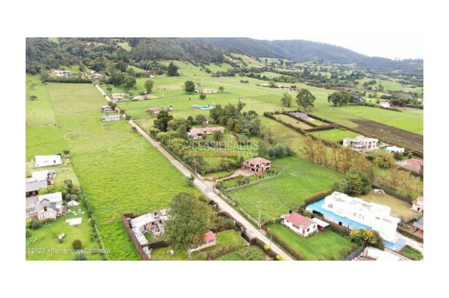 Lotes, Venta, La Calera - $290.000.000