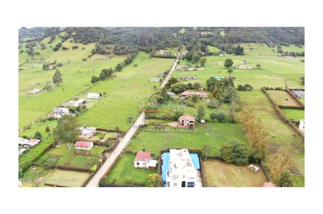 Lotes, Venta, La Calera - $290.000.000