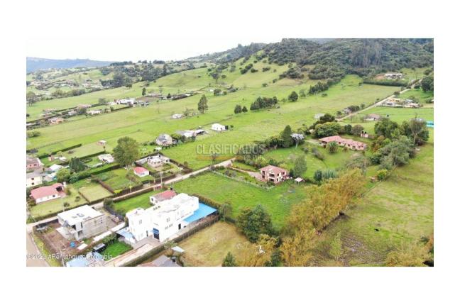 Lotes, Venta, La Calera - $290.000.000