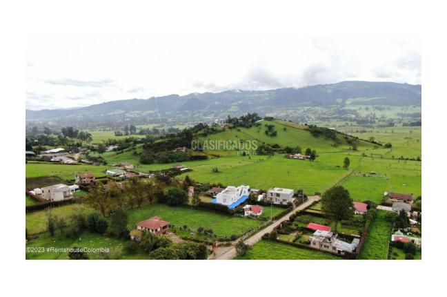 Lotes, Venta, La Calera - $290.000.000