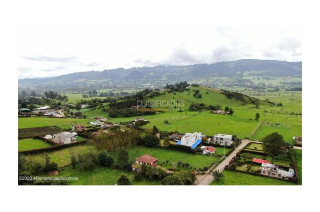 Lotes, Venta, La Calera - $290.000.000