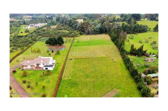 Lotes, Venta en Chía