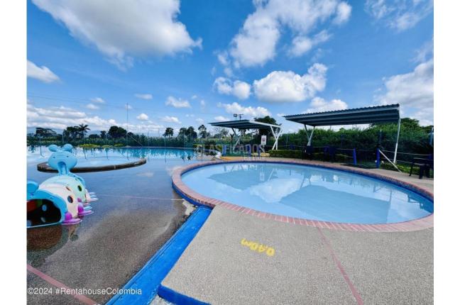 Apartamentos, Venta, Montenegro - $200.000.000