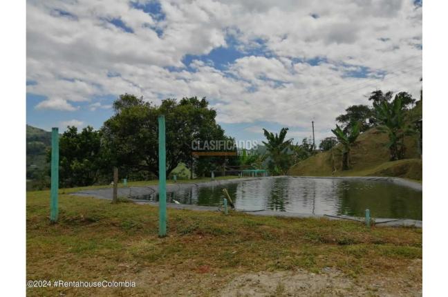 Casas, Venta, La Vega - $1.750.000.000