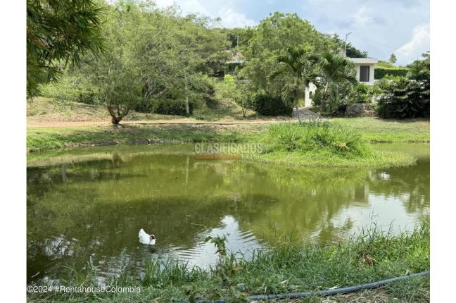 Lotes, Venta, Anapoima - $290.000.000