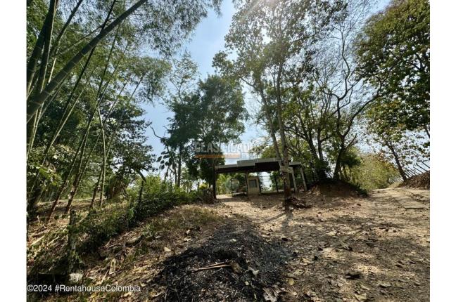 Casas, Venta, Carmen de Apicala - $1.200.000.000