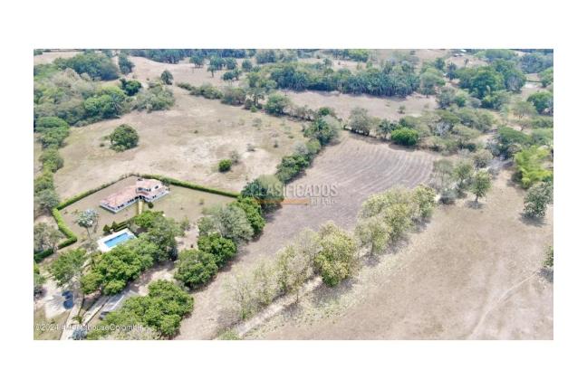 Lotes, Venta, Carmen de Apicala - $2.600.000.000