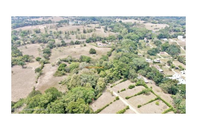 Lotes, Venta, Carmen de Apicala - $2.600.000.000