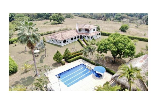 Lotes, Venta, Carmen de Apicala - $170.000.000