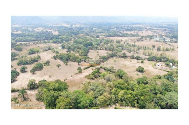 Lotes, Venta, Carmen de Apicala - $170.000.000