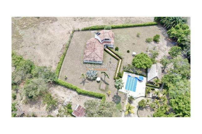Lotes, Venta, Carmen de Apicala - $170.000.000