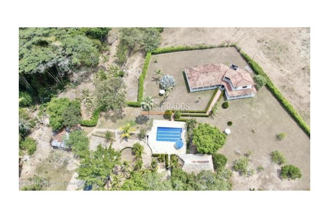 Lotes, Venta, Carmen de Apicala - $170.000.000