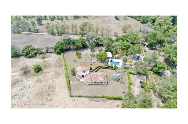 Lotes, Venta, Carmen de Apicala - $170.000.000