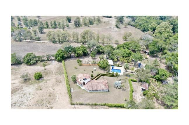 Lotes, Venta, Carmen de Apicala - $170.000.000