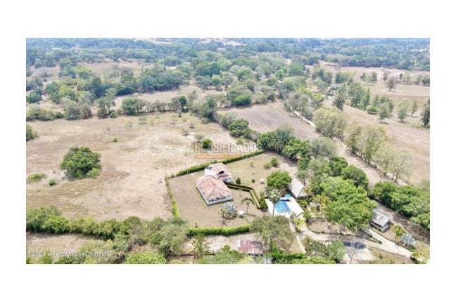 Lotes, Venta, Carmen de Apicala - $170.000.000