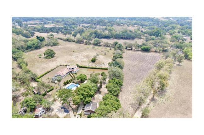 Lotes, Venta, Carmen de Apicala - $170.000.000