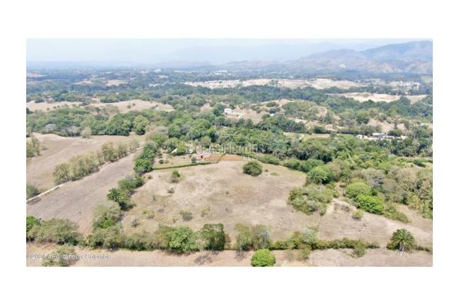 Lotes, Venta, Carmen de Apicala - $170.000.000