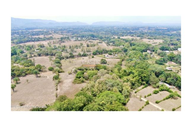 Lotes, Venta, Carmen de Apicala - $170.000.000