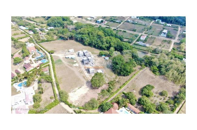 Casas, Venta, Carmen de Apicala - $348.090.420