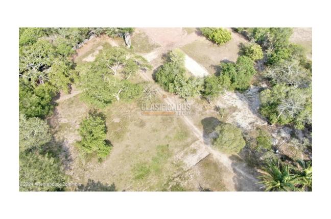 Casas, Venta, Carmen de Apicala - $537.350.000