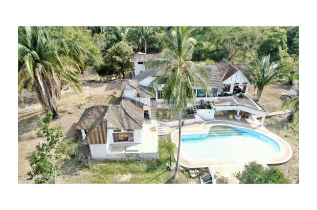 Casas, Venta, Carmen de Apicala - $537.350.000