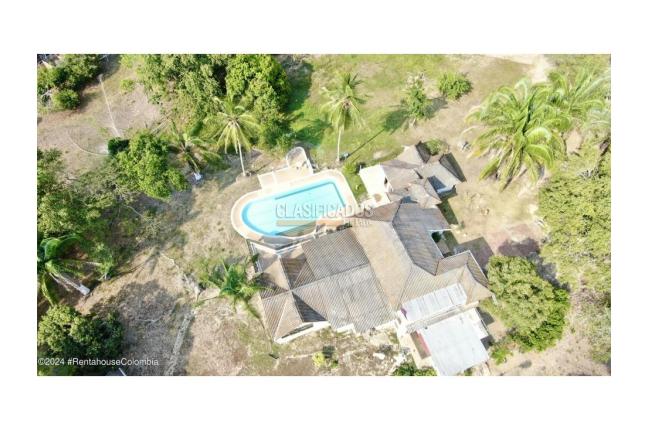 Casas, Venta, Carmen de Apicala - $537.350.000