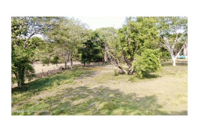 Casas, Venta, Carmen de Apicala - $537.350.000