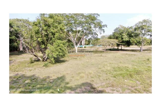 Casas, Venta, Carmen de Apicala - $537.350.000