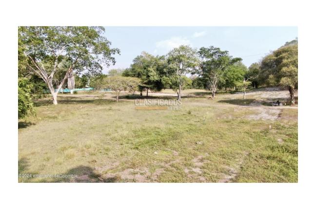 Casas, Venta, Carmen de Apicala - $537.350.000