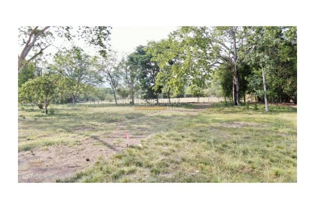 Casas, Venta, Carmen de Apicala - $537.350.000