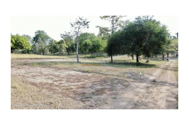 Casas, Venta, Carmen de Apicala - $537.350.000