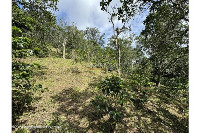 Casas, Venta, Anolaima - $789.000.000