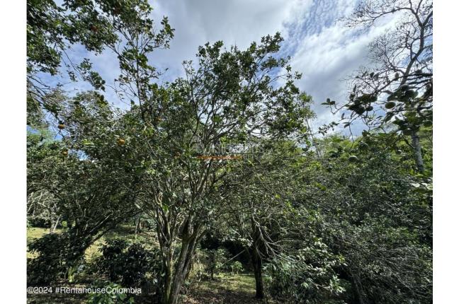 Casas, Venta, Anolaima - $789.000.000