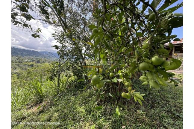 Casas, Venta, Anolaima - $789.000.000