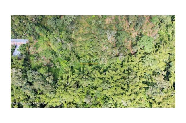 Casas, Venta, Anolaima - $789.000.000