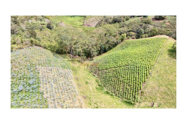 Lotes, Venta, Quipile - $200.000.000