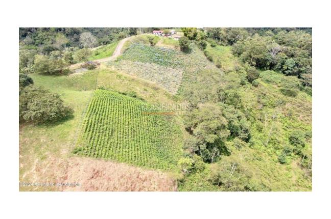 Lotes, Venta, Quipile - $200.000.000