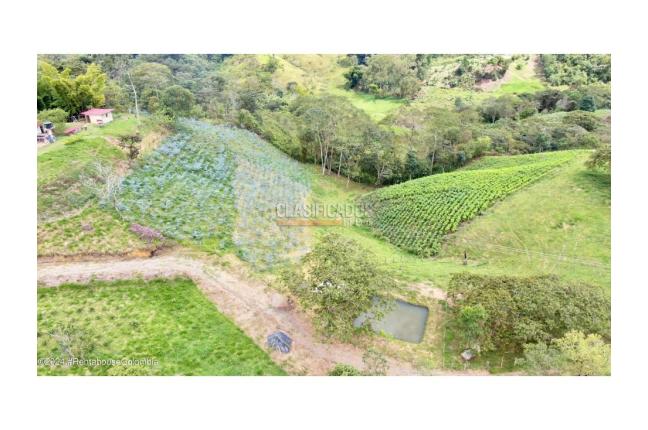 Lotes, Venta, Quipile - $200.000.000