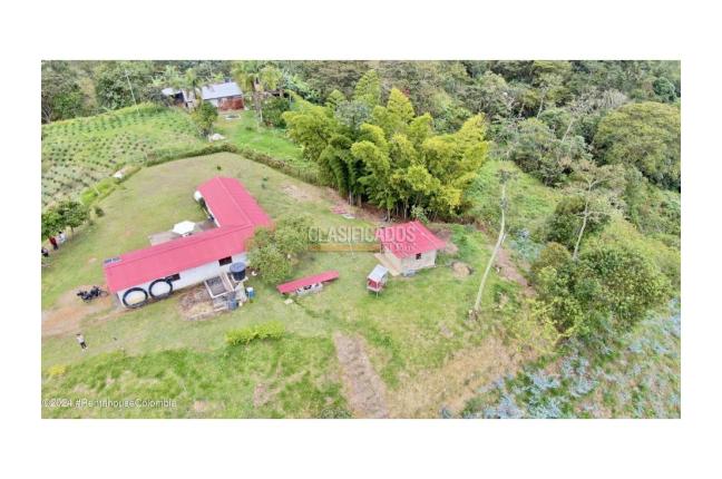 Casas, Venta, Quipile - $450.000.000