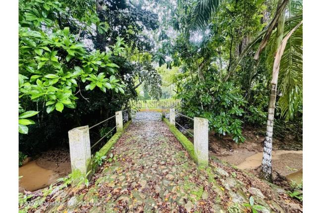 Casas, Venta, Melgar - $440.000.000