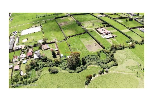 Lotes, Venta, La Calera - $670.000.000