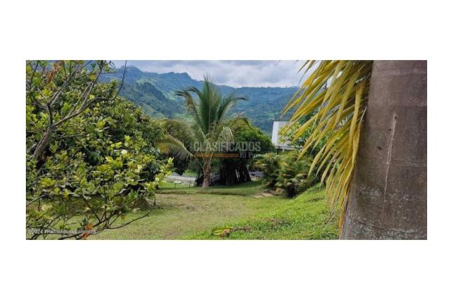 Casas, Venta, La Vega - $1.750.000.000