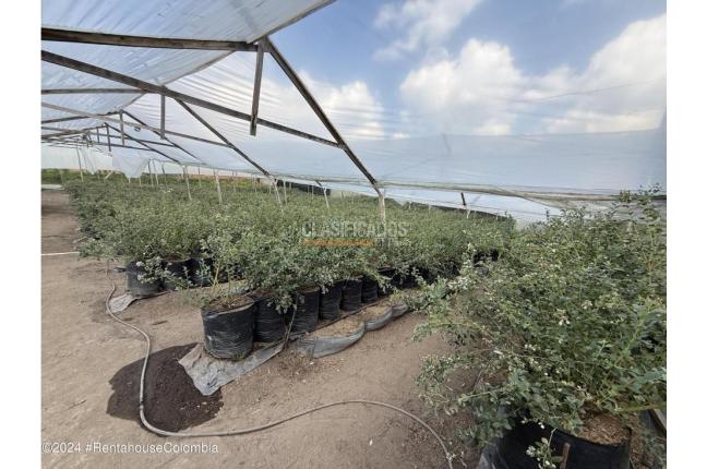 Casas, Venta, Zipaquira - $900.000.000