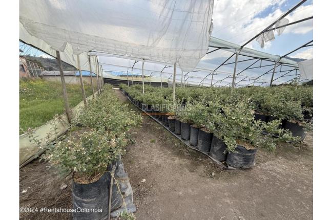 Casas, Venta, Zipaquira - $900.000.000