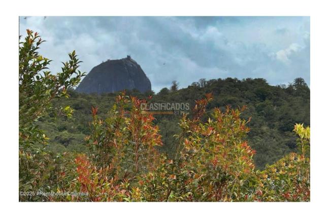 Casas, Venta, Guatape - $750.000.000