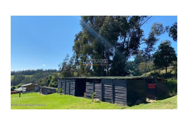 Casas, Venta, Cajica - $3.200.000.000