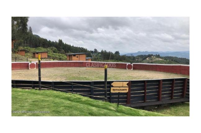 Casas, Venta, Cajica - $3.200.000.000