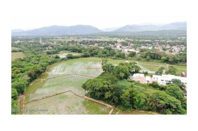 Lotes, Venta en El Zulia
