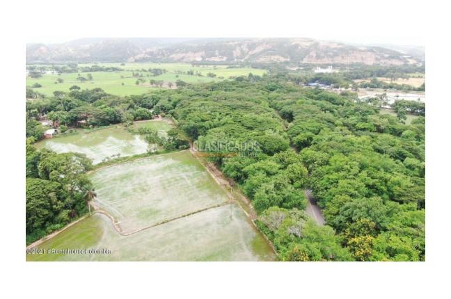 Lotes, Venta en El Zulia